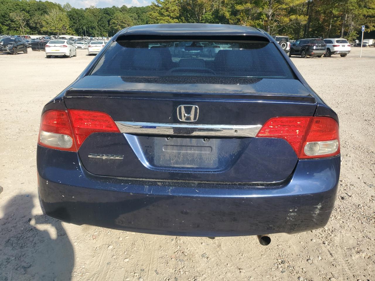 2010 Honda Civic Lx VIN: 2HGFA1F55AH504431 Lot: 81035415