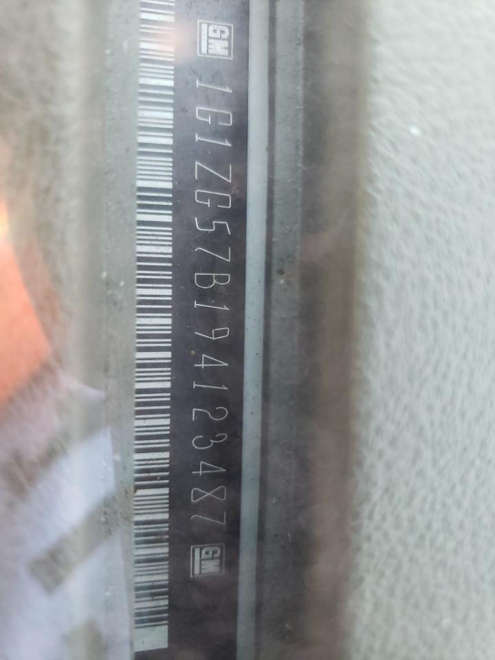 2009 Chevrolet Malibu Ls VIN: 1G1ZG57B194123487 Lot: 72027995