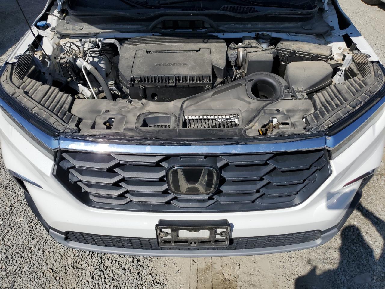 2023 Honda Pilot Exl VIN: 5FNYG2H41PB011716 Lot: 81098295