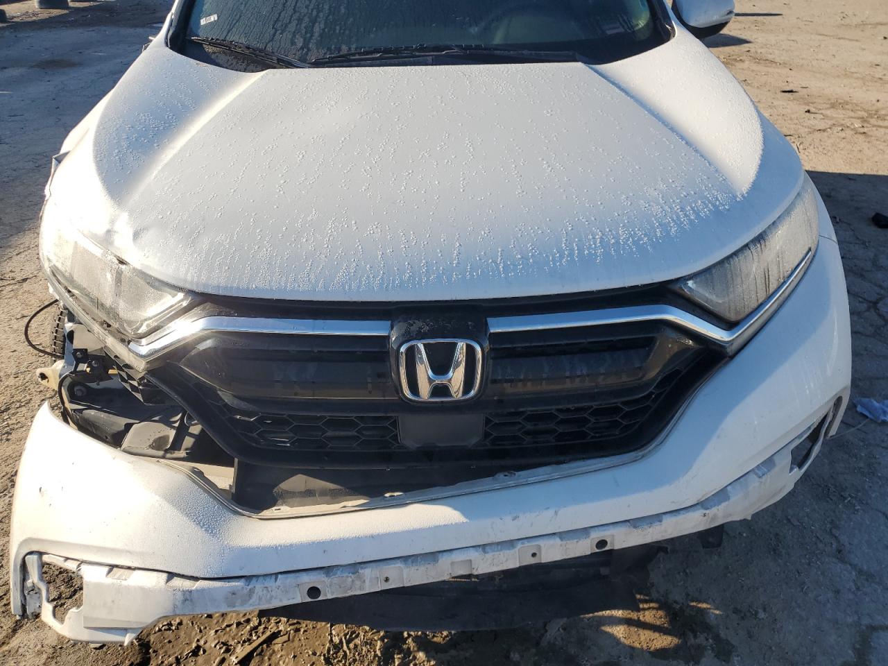 2020 Honda Cr-V Ex VIN: 7FARW1H51LE027438 Lot: 81633535