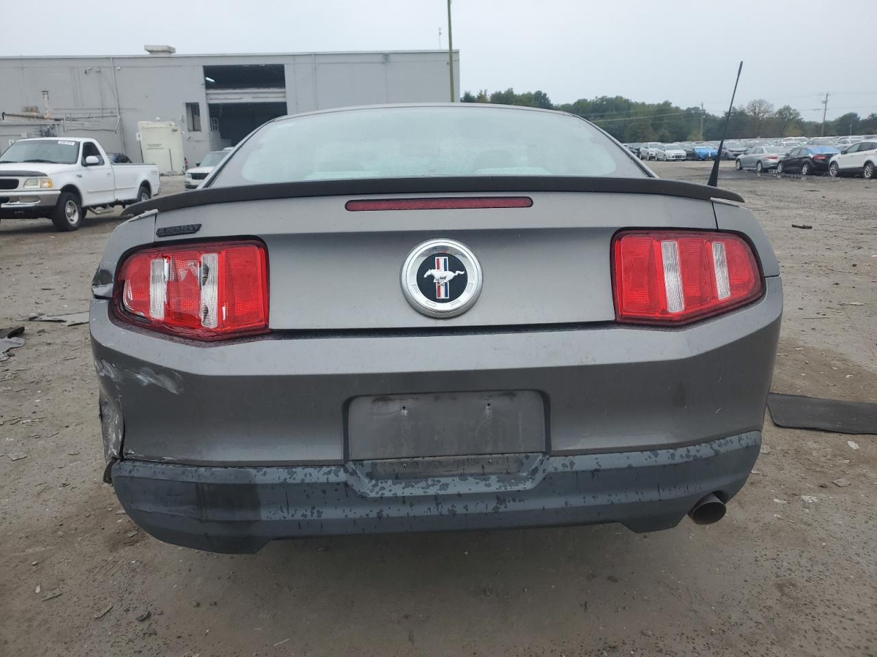 2010 Ford Mustang VIN: 1ZVBP8AN9A5112276 Lot: 81566355