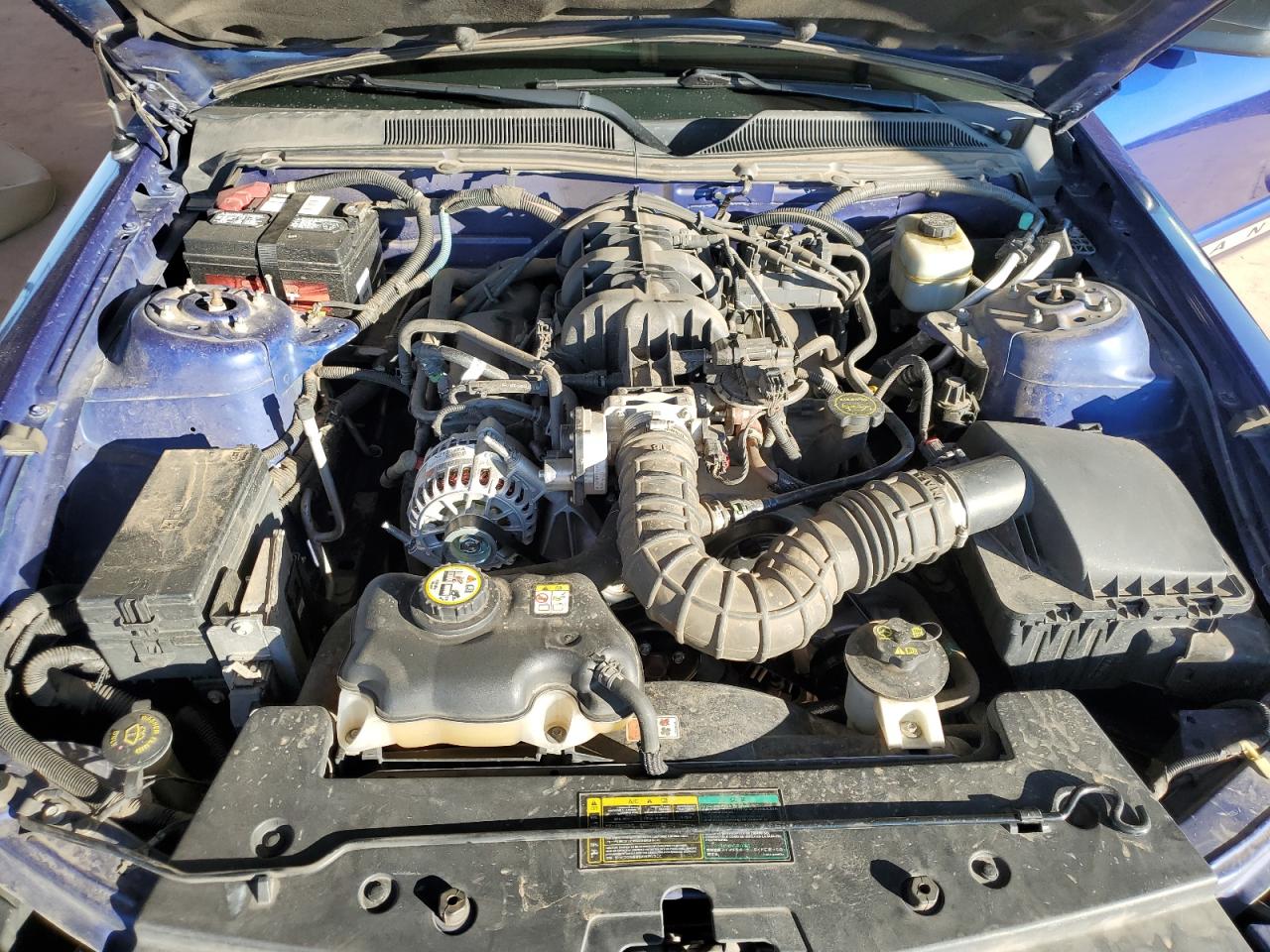2005 Ford Mustang VIN: 1ZVFT80N655138578 Lot: 81773235