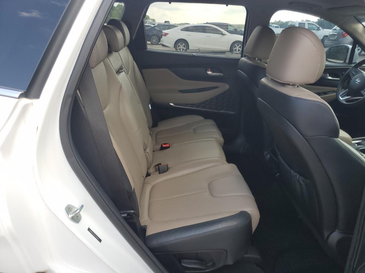 2020 Hyundai Santa Fe Limited VIN: 5NMS53AD1LH224167 Lot: 70745225