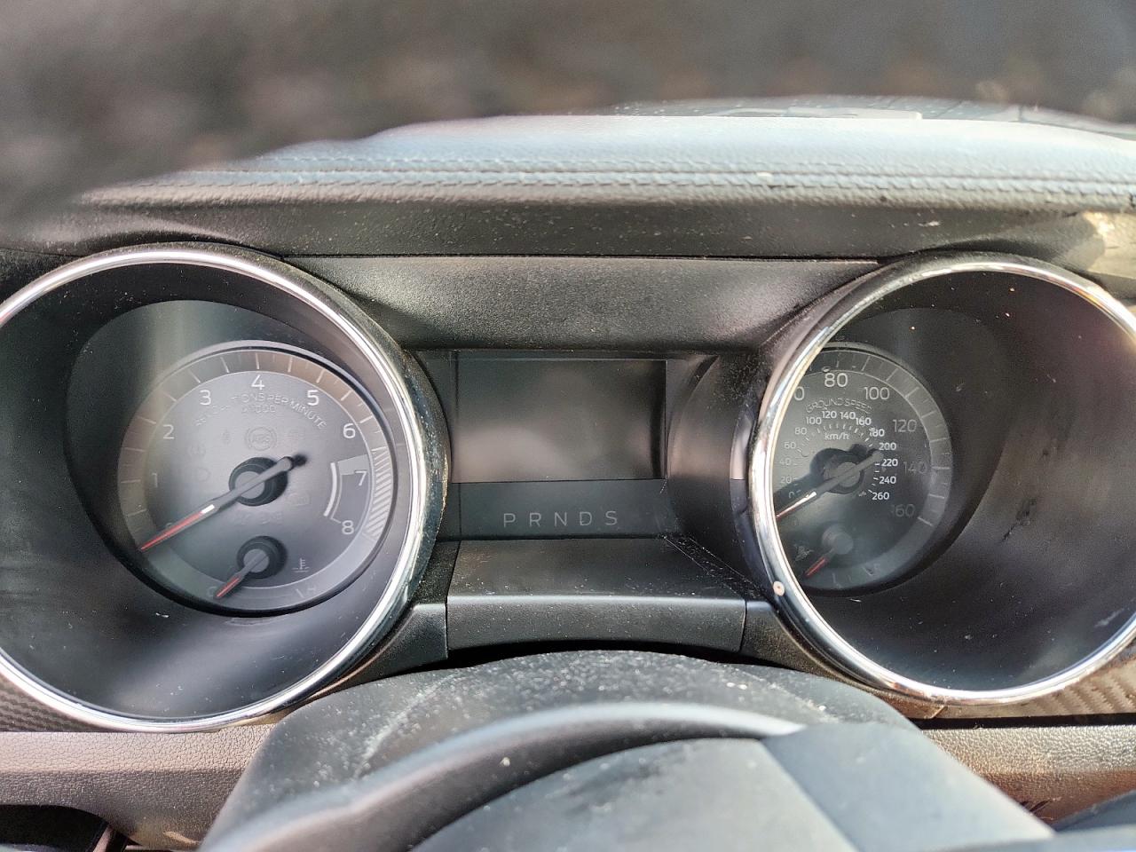 2017 Ford Mustang VIN: 1FA6P8AM5H5290679 Lot: 81404435