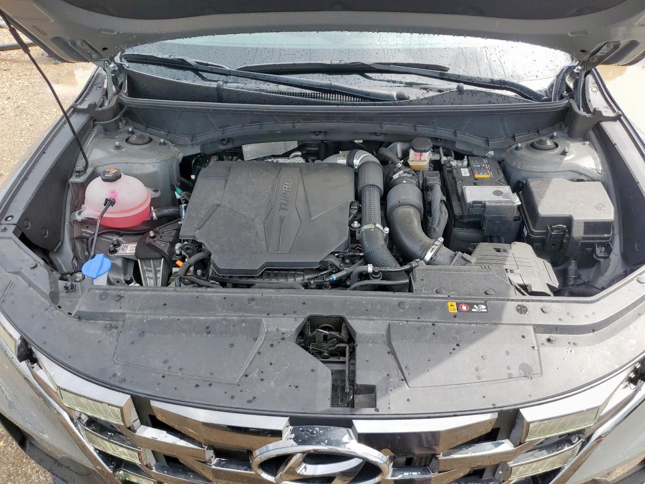 2024 Hyundai Santa Cruz Night VIN: 5NTJCDDFXRH102280 Lot: 81524065