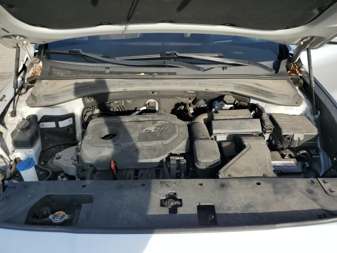 2019 Hyundai Santa Fe Limited VIN: 5NMS5CAD4KH005007 Lot: 84243575