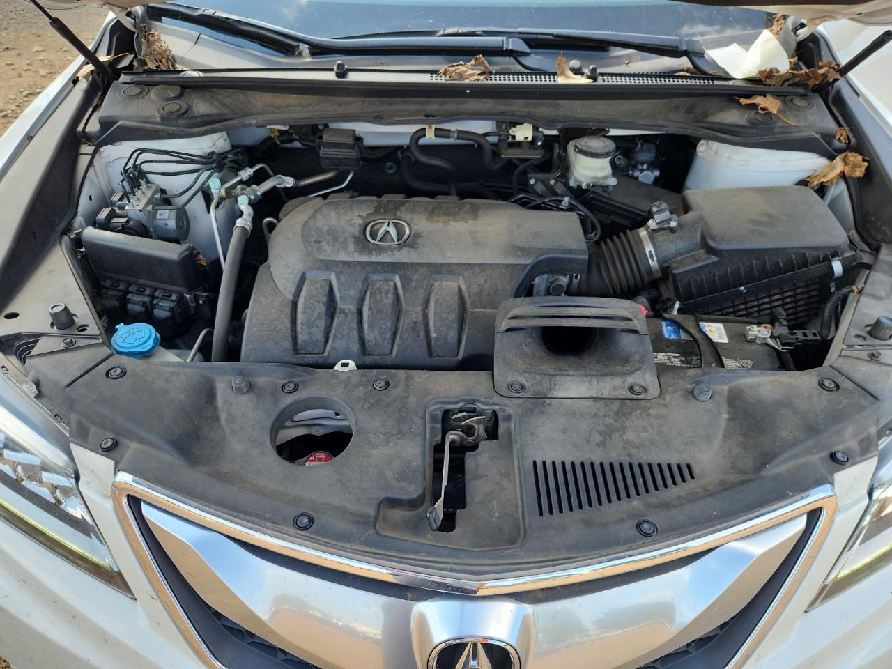 2017 Acura Rdx VIN: 5J8TB3H31HL005565 Lot: 81958585