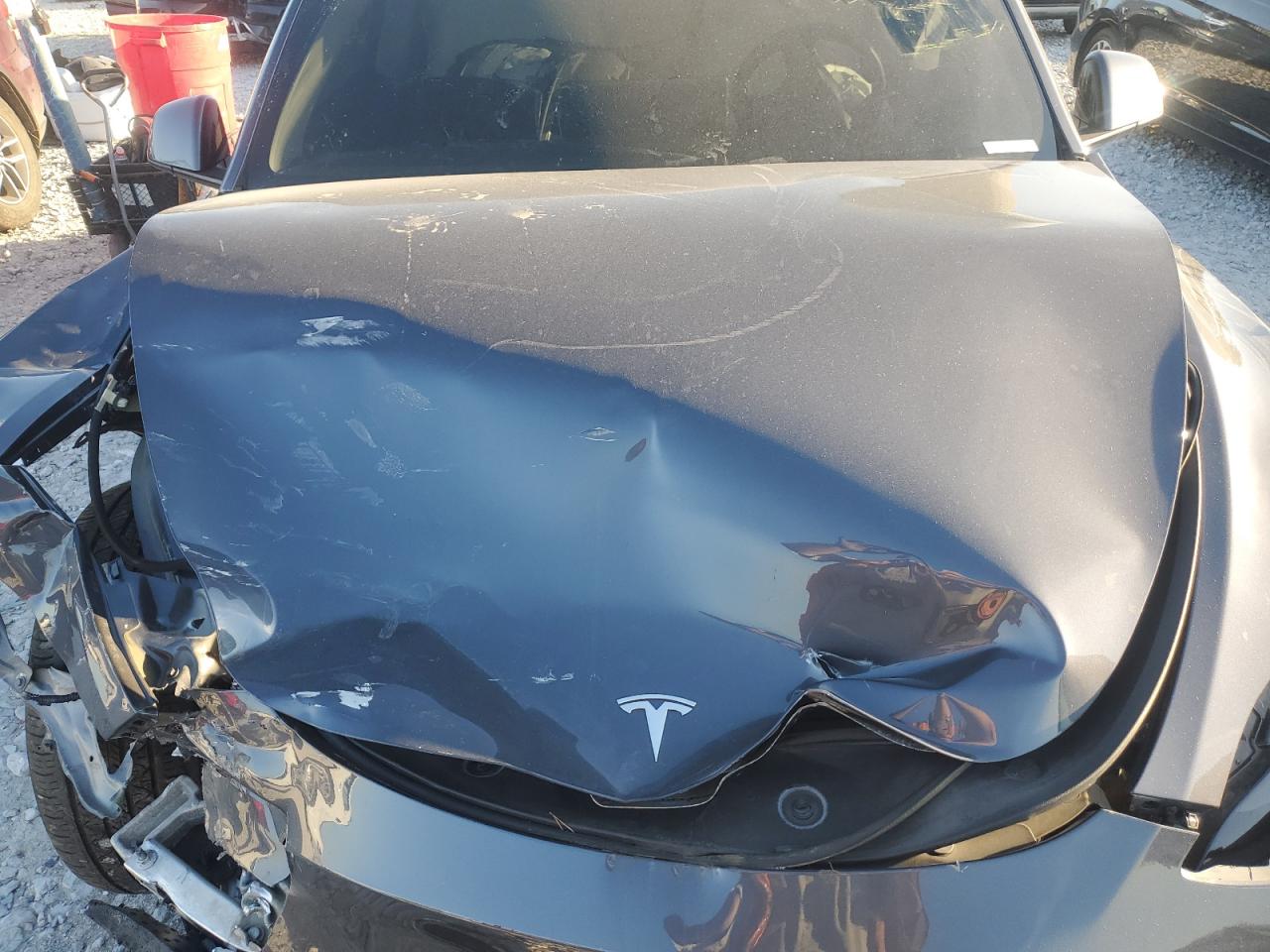 2023 Tesla Model Y VIN: 7SAYGDEEXPF689599 Lot: 81930495