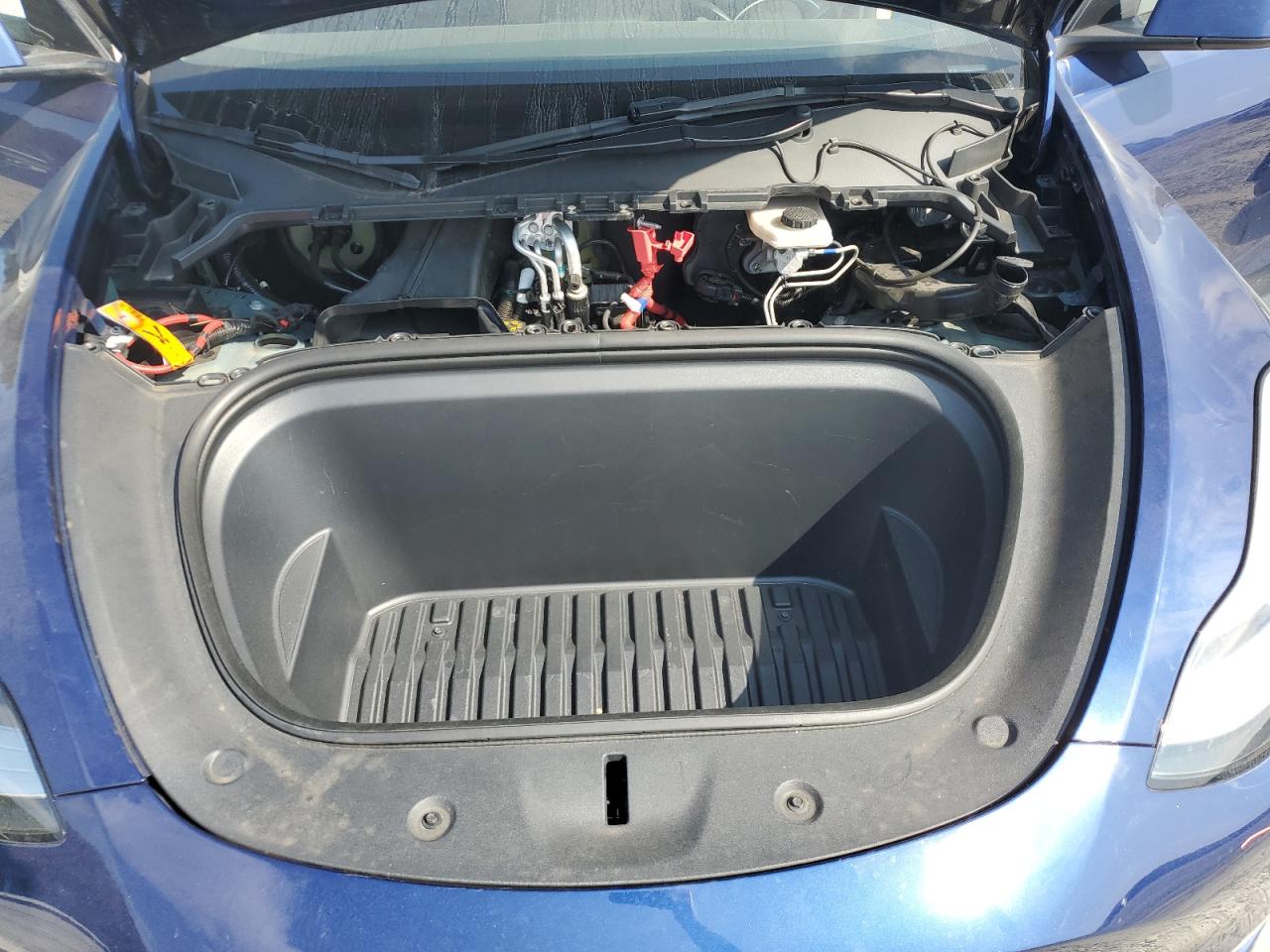 2023 Tesla Model Y VIN: 7SAYGDEE2PA068886 Lot: 82038245