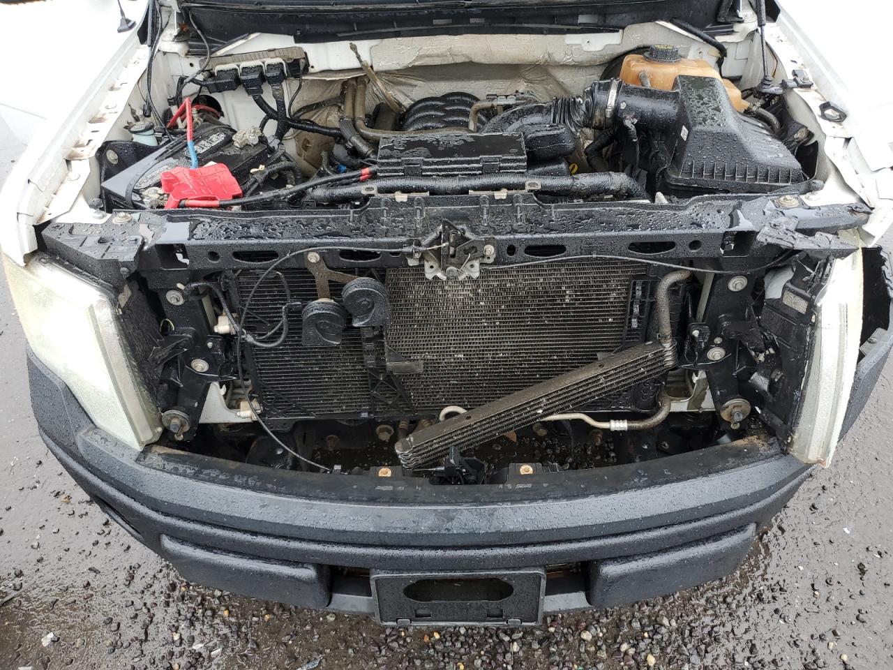 2013 Ford F150 Supercrew VIN: 1FTFW1CF1DFB06667 Lot: 80798315