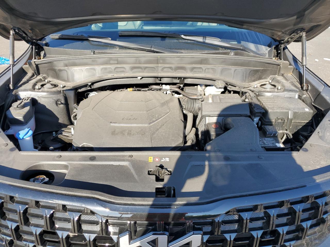 2024 Kia Telluride Sx VIN: 5XYP5DGC0RG532489 Lot: 81853935