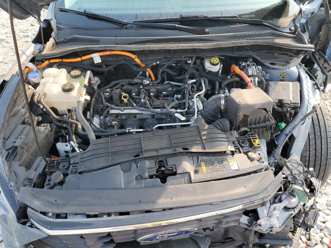 2023 Ford Escape Active VIN: 1FMCU0GZ9PUA78443 Lot: 71044345