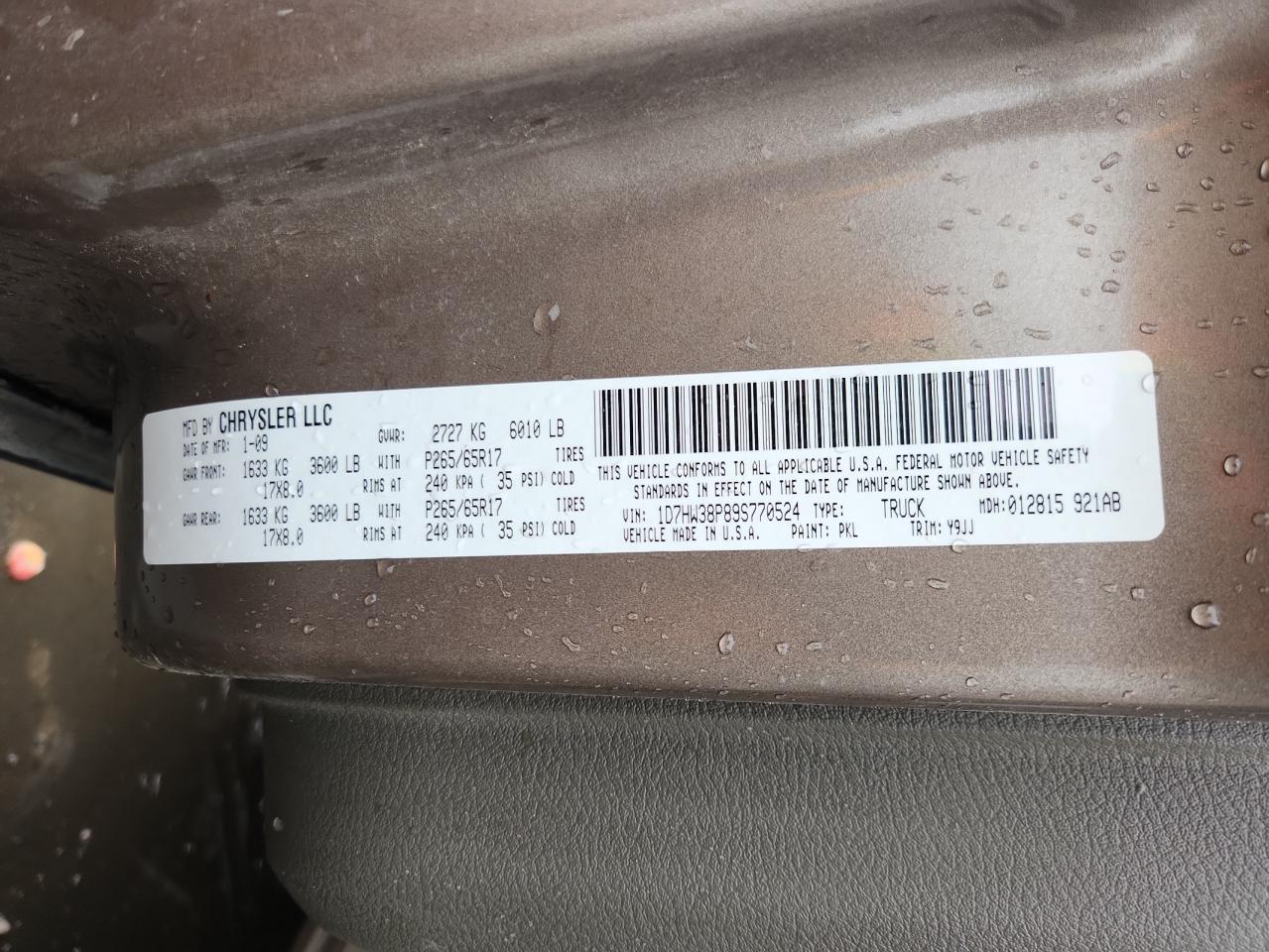 2009 Dodge Dakota Sxt VIN: 1D7HW38P89S770524 Lot: 81649045