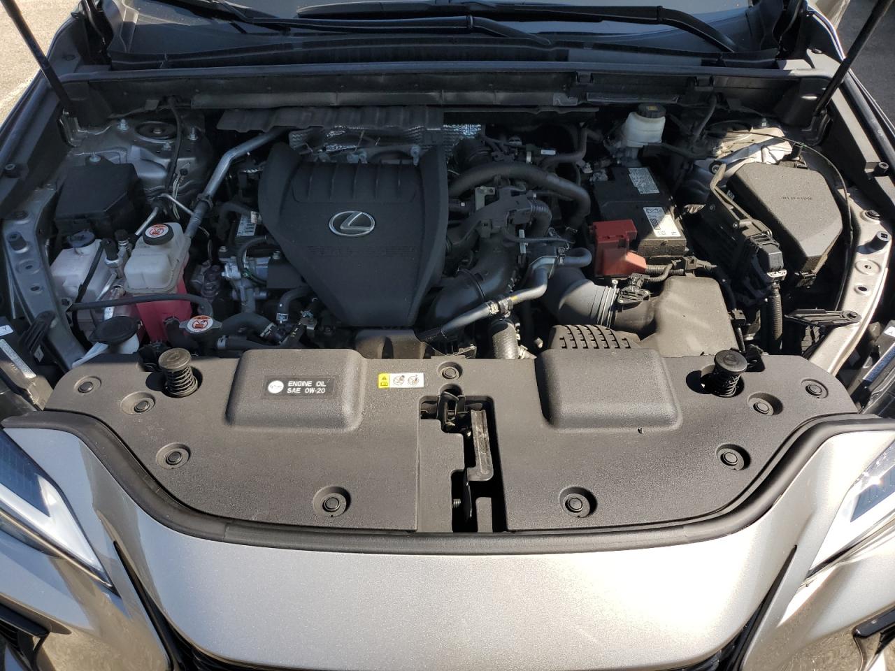 2022 Lexus Nx 350 VIN: 2T2KGCEZ3NC005585 Lot: 80276275