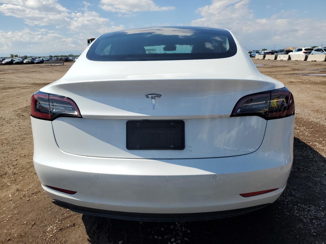 2020 Tesla Model 3 VIN: 5YJ3E1EA0LF802205 Lot: 80902205