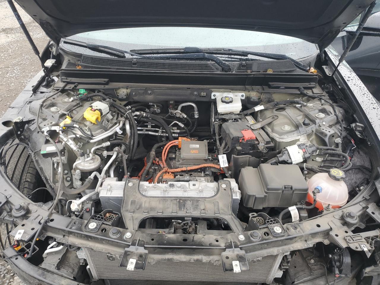 2023 Cadillac Lyriq Luxury VIN: 1GYKPMRK8PZ002854 Lot: 81065575