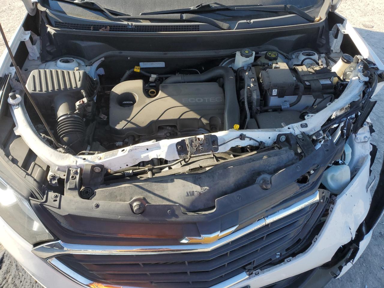 2018 Chevrolet Equinox Ls VIN: 2GNAXREVXJ6296332 Lot: 81901145