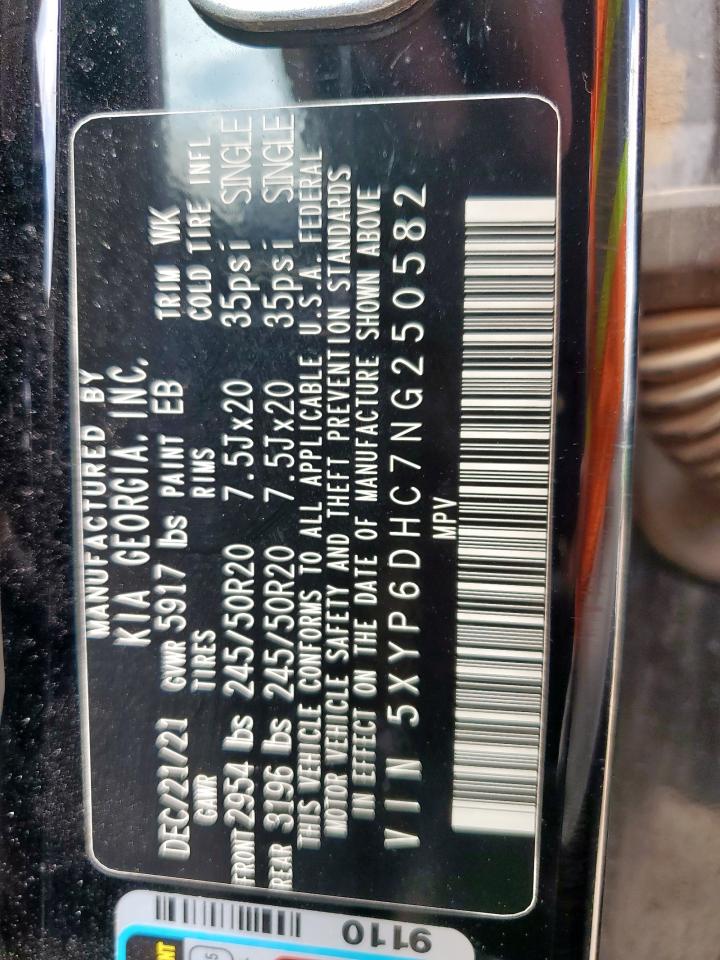 2022 Kia Telluride S VIN: 5XYP6DHC7NG250582 Lot: 81134345