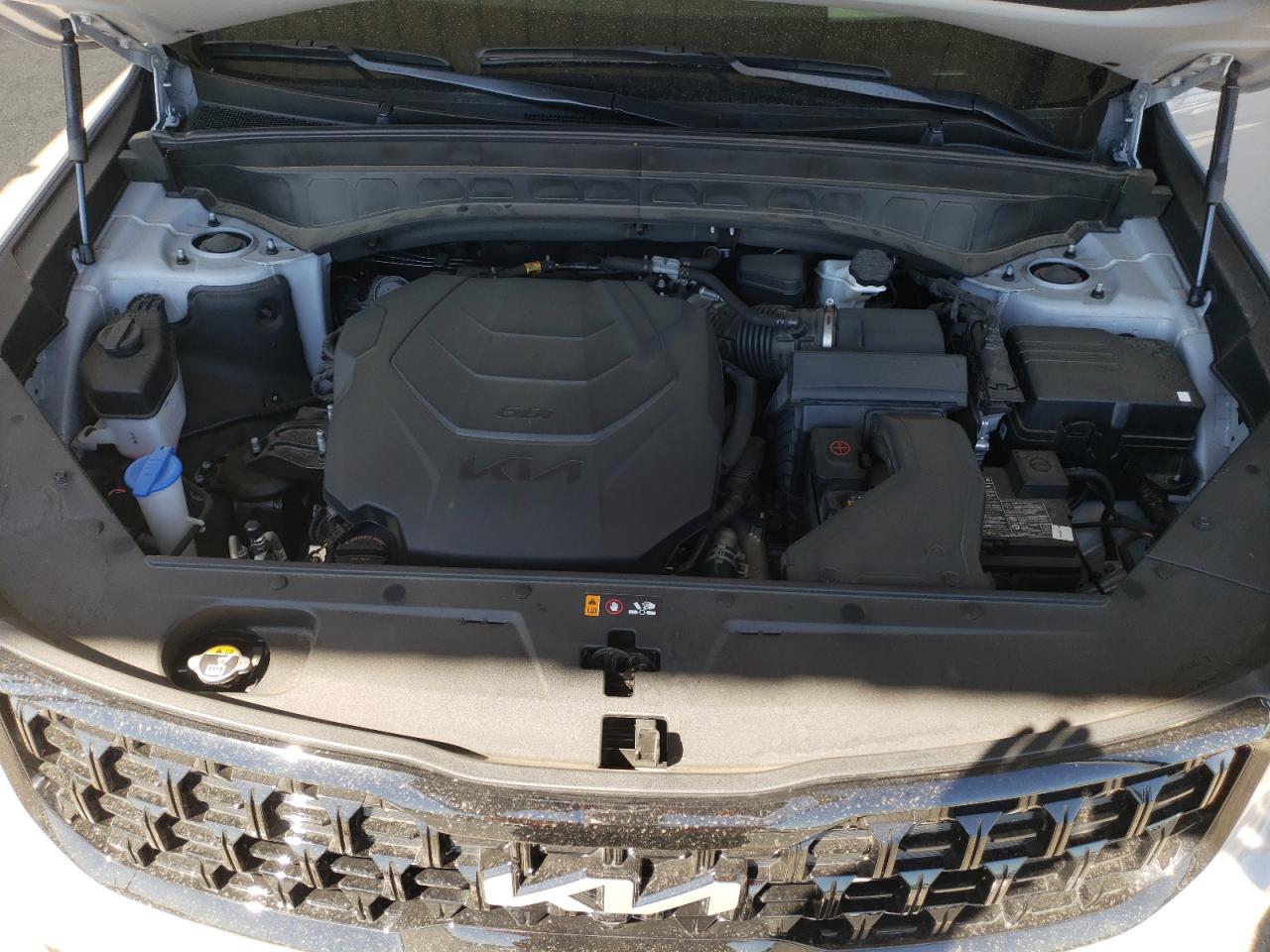 2024 Kia Telluride Sx VIN: 5XYP5DGC1RG525552 Lot: 70689225