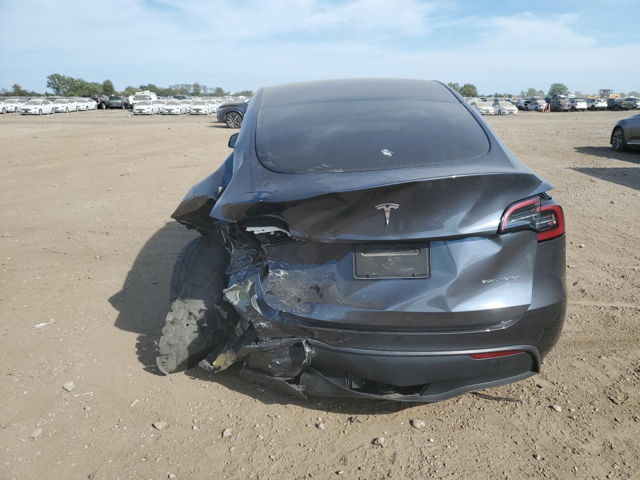 2023 Tvr Y VIN: 7SAYGDEE6PA208356 Lot: 80036445