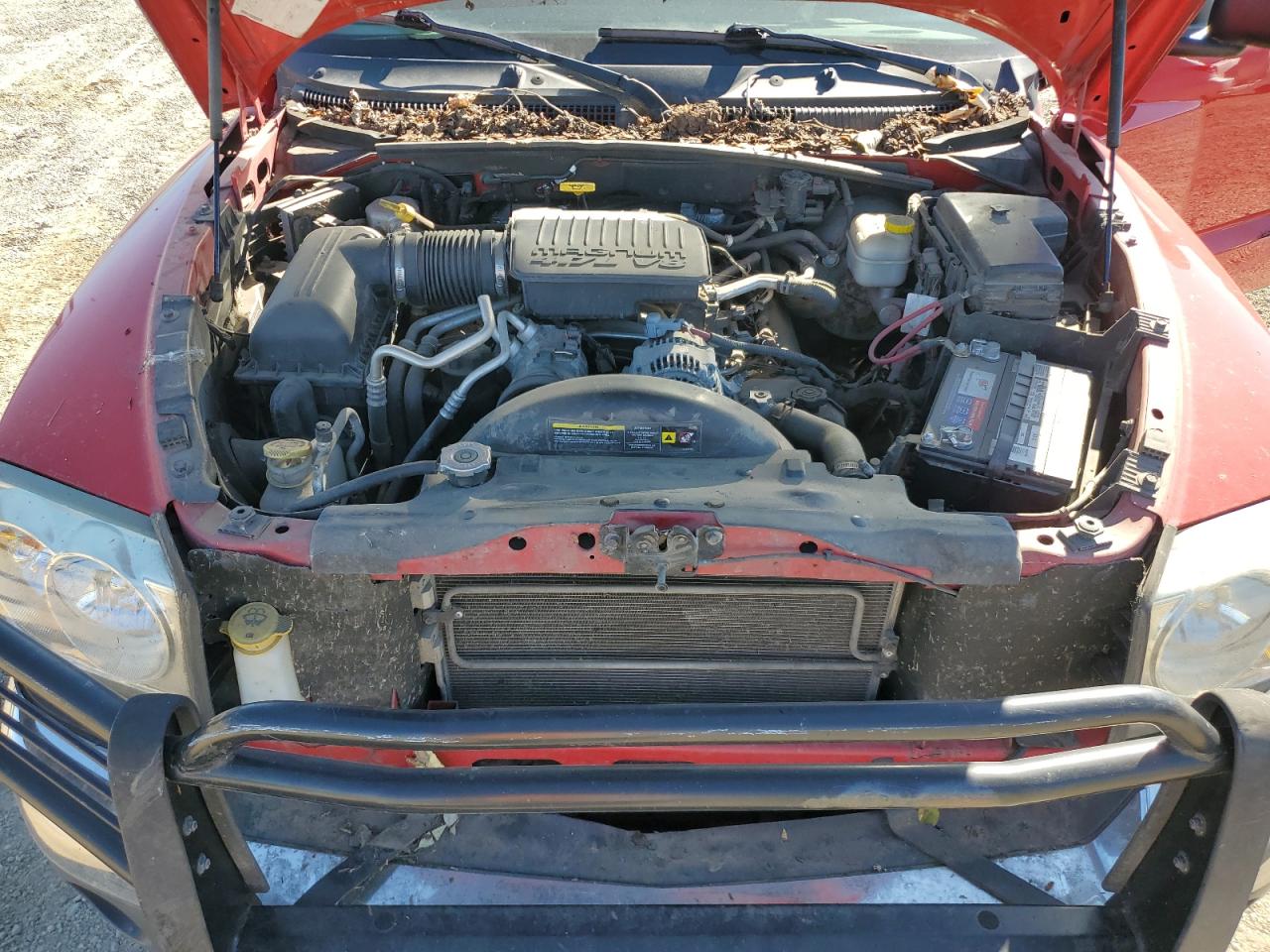 2005 Dodge Dakota Quad Slt VIN: 1D7HW48N15S169809 Lot: 83867195