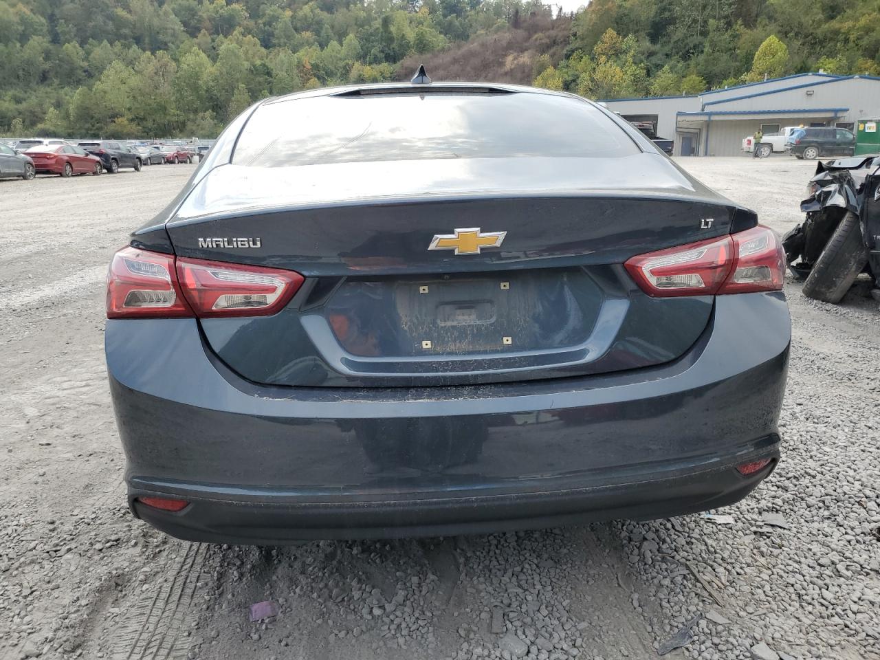 2019 Chevrolet Malibu Lt VIN: 1G1ZD5ST3KF171060 Lot: 81436275