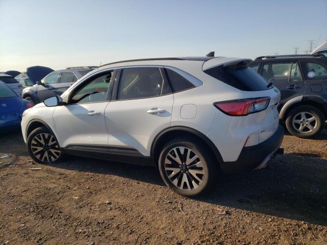  FORD ESCAPE 2020 Белы