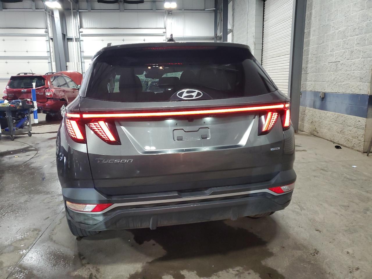2023 Hyundai Tucson Sel VIN: 5NMJBCAE6PH161733 Lot: 80088005