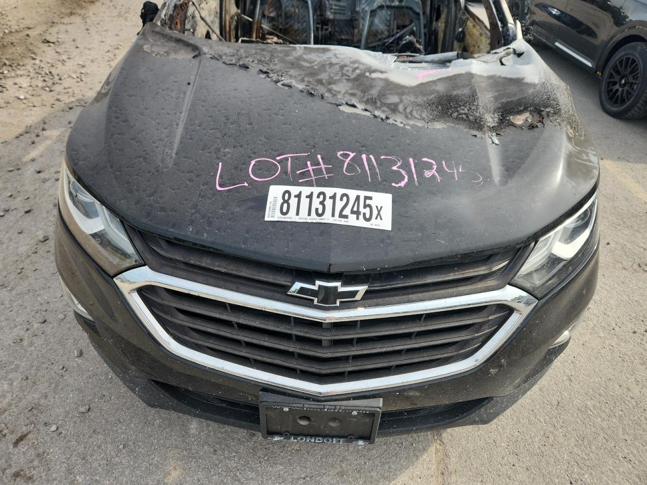 2020 Chevrolet Equinox Lt VIN: 2GNAXKEV6L6101319 Lot: 81131245