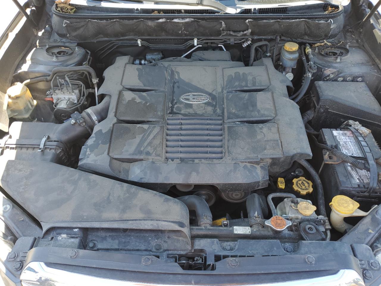 2010 Subaru Outback 3.6R Limited VIN: 4S4BREKC4A2314724 Lot: 72048165