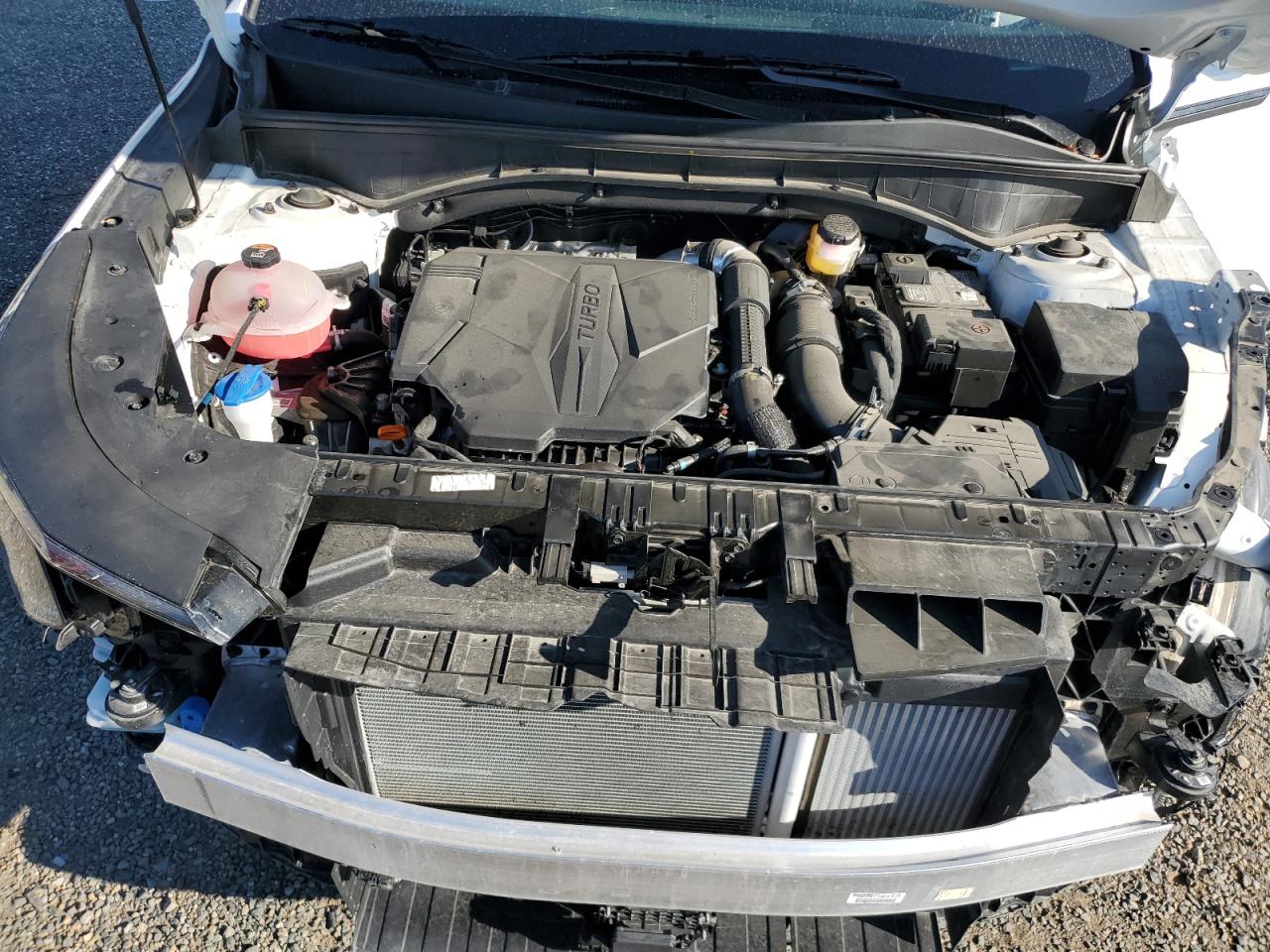 2024 Kia Sorento Sx VIN: 5XYRKDJF7RG251813 Lot: 80300895