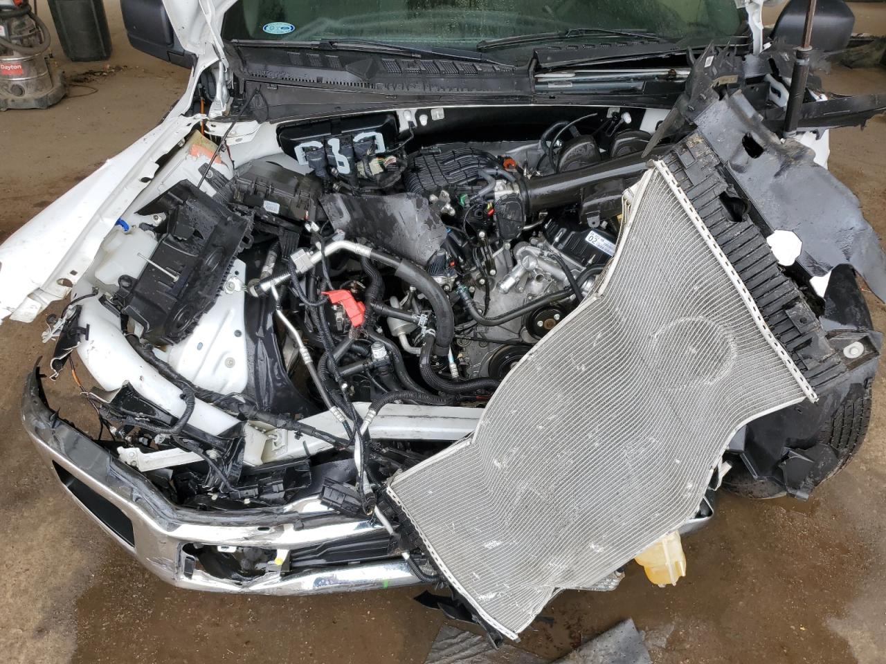 2019 Ford F150 VIN: 1FTMF1EBXKKD33670 Lot: 80282805