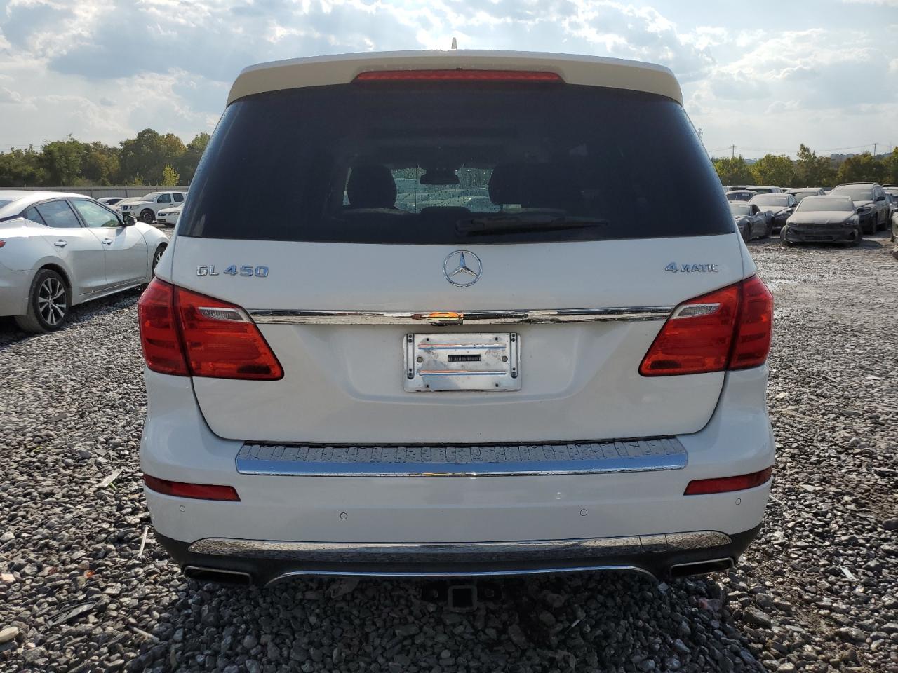 2014 Mercedes-Benz Gl 450 4Matic VIN: 4JGDF7CE0EA278491 Lot: 80315915