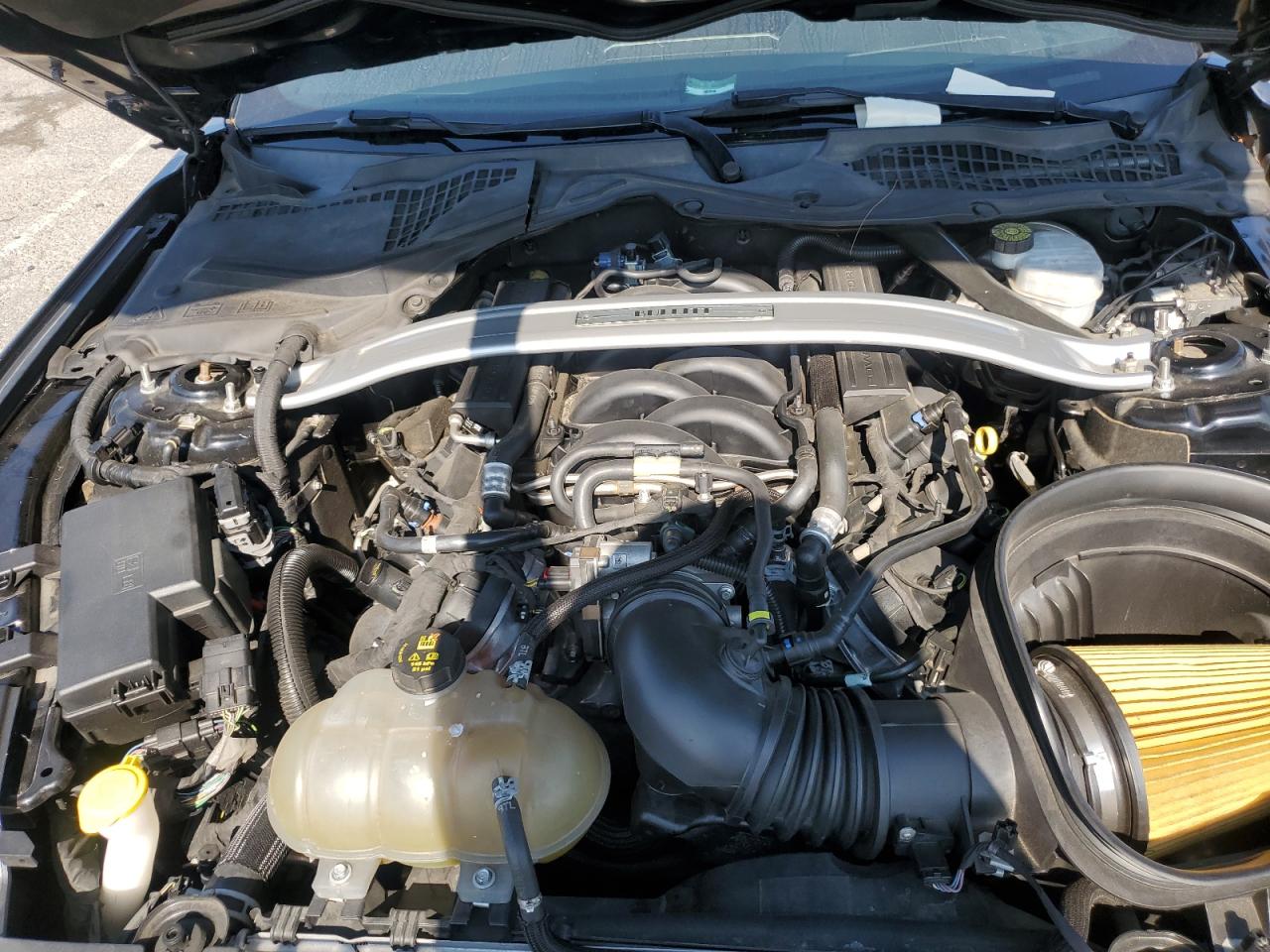 2019 Ford Mustang Bullitt VIN: 1FA6P8K00K5504772 Lot: 81032155