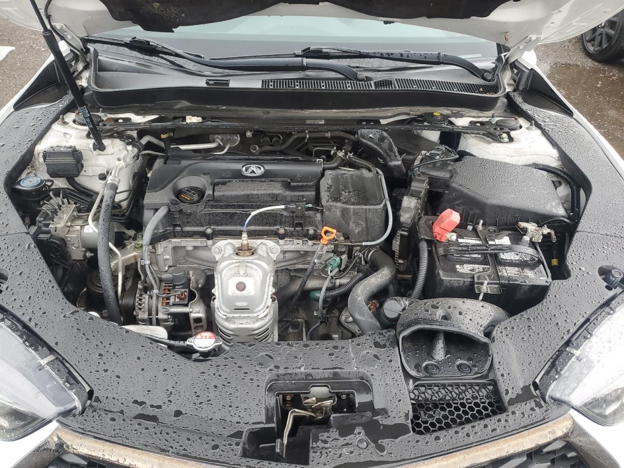2019 Acura Tlx Technology VIN: 19UUB1F66KA801009 Lot: 80084265