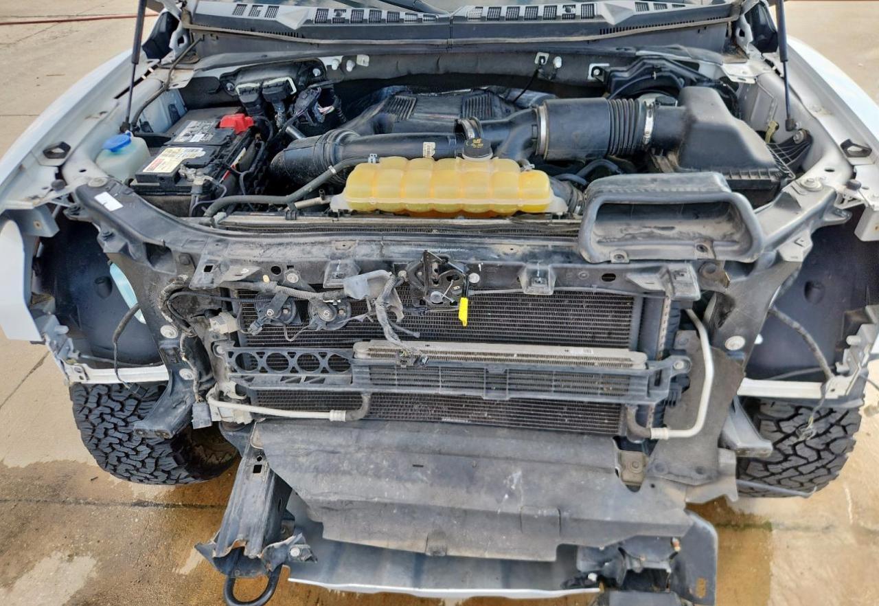 2017 Ford F150 Raptor VIN: 1FTFW1RG8HFC13172 Lot: 81556625