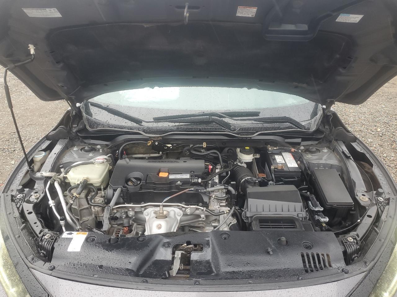 2019 Honda Civic Lx VIN: 2HGFC2F69KH562195 Lot: 81152105