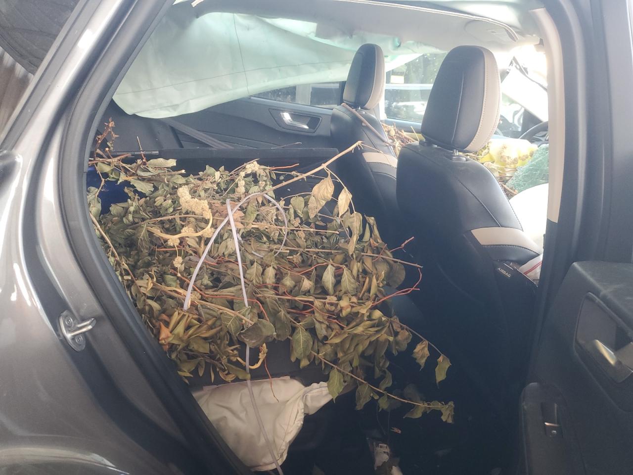 2021 Ford Escape Sel VIN: 1FMCU9CZ6MUA90670 Lot: 72050525