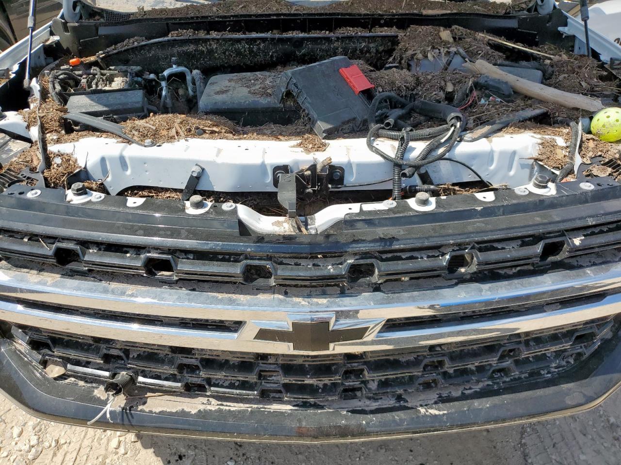 2024 Chevrolet Tahoe K1500 VIN: 1GNSKLED0RR371000 Lot: 80215415