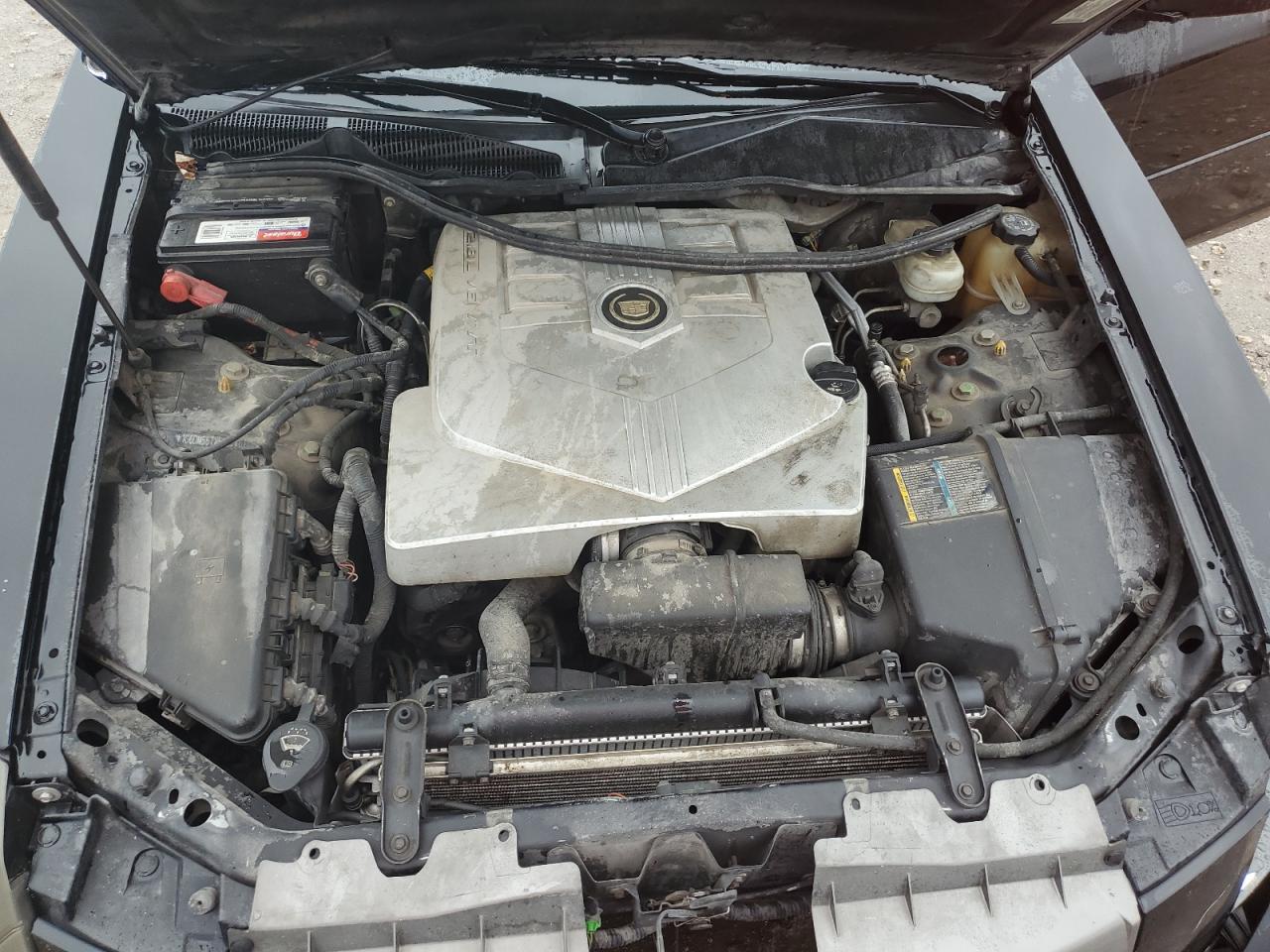 2005 Cadillac Cts VIN: 1G6DM56TX50237674 Lot: 81751355