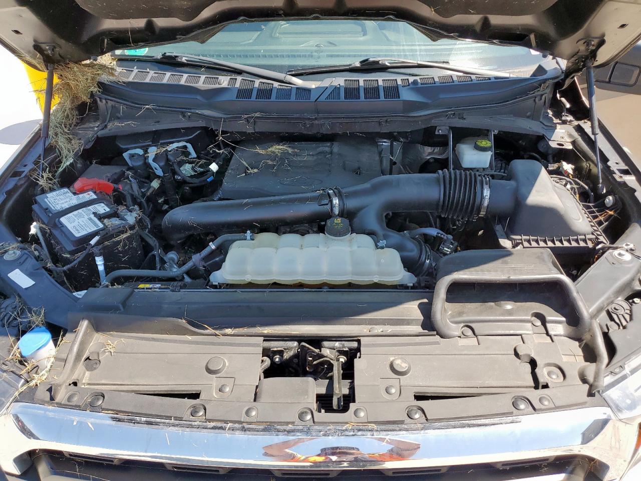 2023 Ford F150 Supercrew VIN: 1FTEW1C87PFA25531 Lot: 80146175