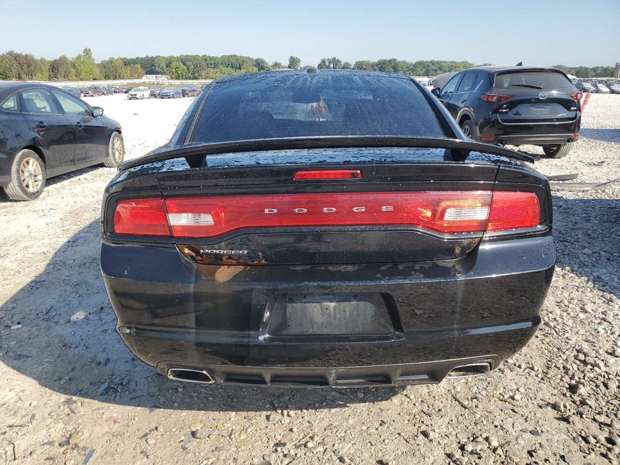 2013 Dodge Charger Se VIN: 2C3CDXBG9DH533894 Lot: 80142775