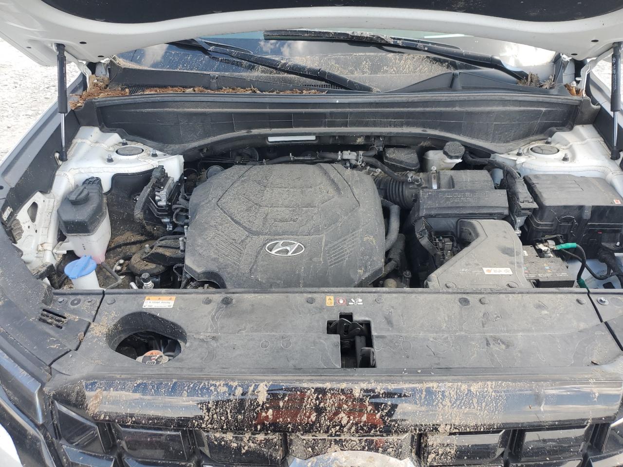2023 Hyundai Palisade Limited VIN: KM8R5DGE6PU521823 Lot: 71232795