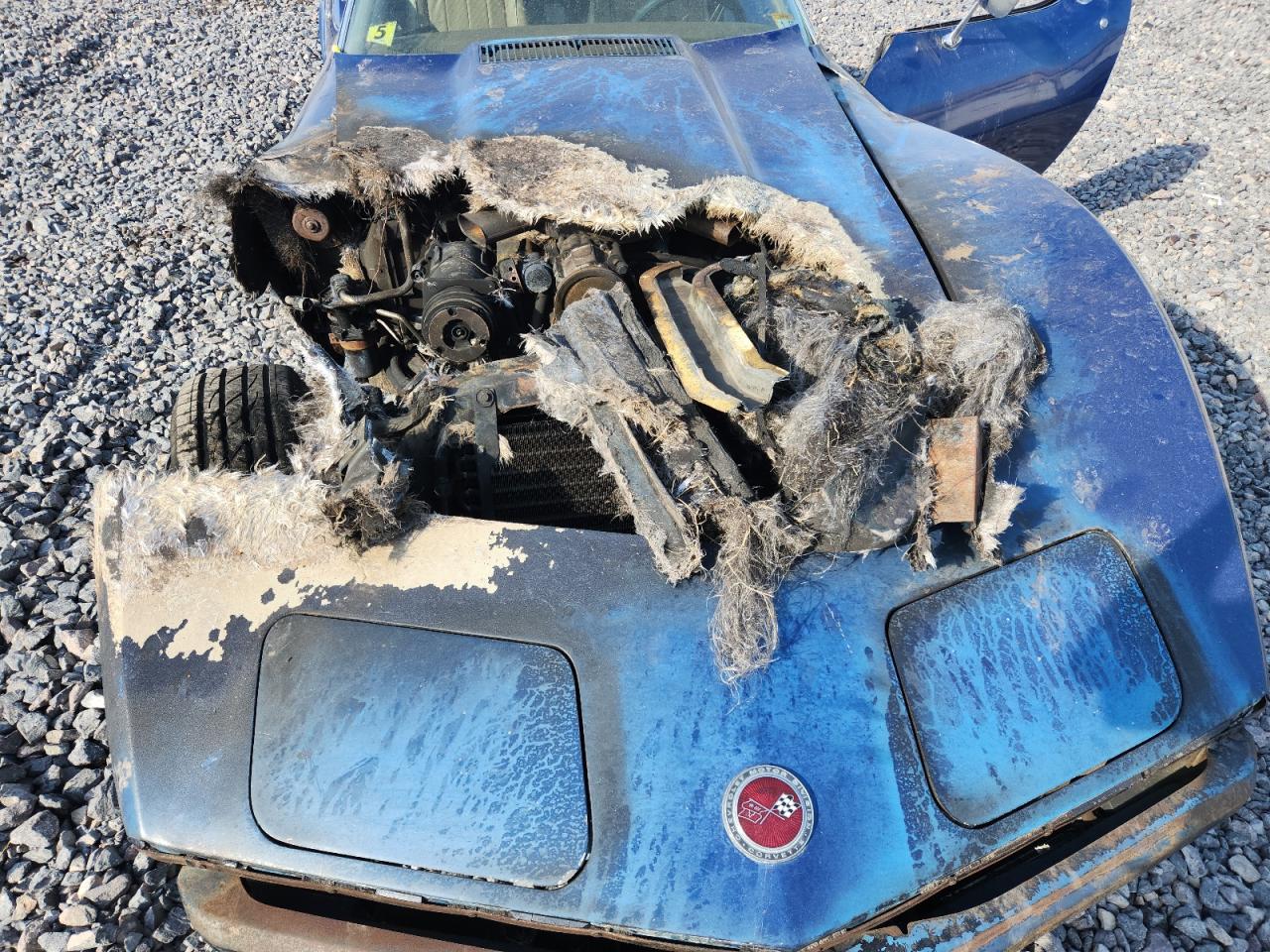 1973 Chevrolet Corvette VIN: 1Z37J3S416481 Lot: 84719375