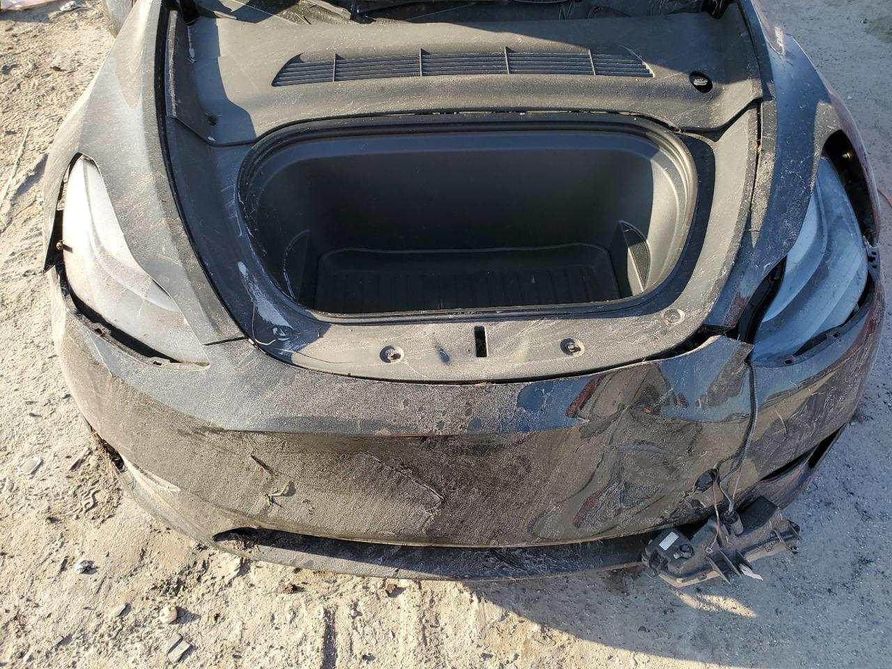 2023 Tesla Model Y VIN: 7SAYGDEF8PF835958 Lot: 80765185