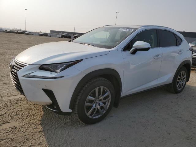  LEXUS NX 2019 Белы