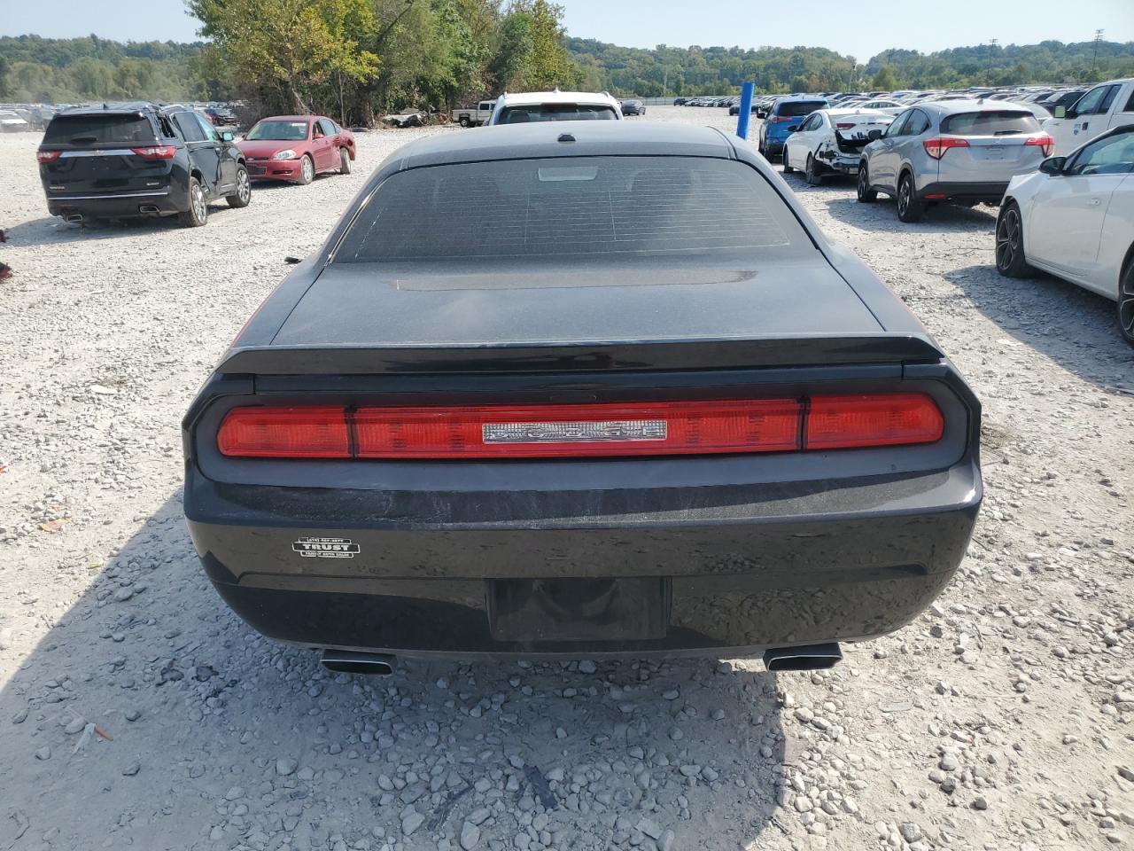 2014 Dodge Challenger R/T VIN: 2C3CDYBT1EH249826 Lot: 80354575