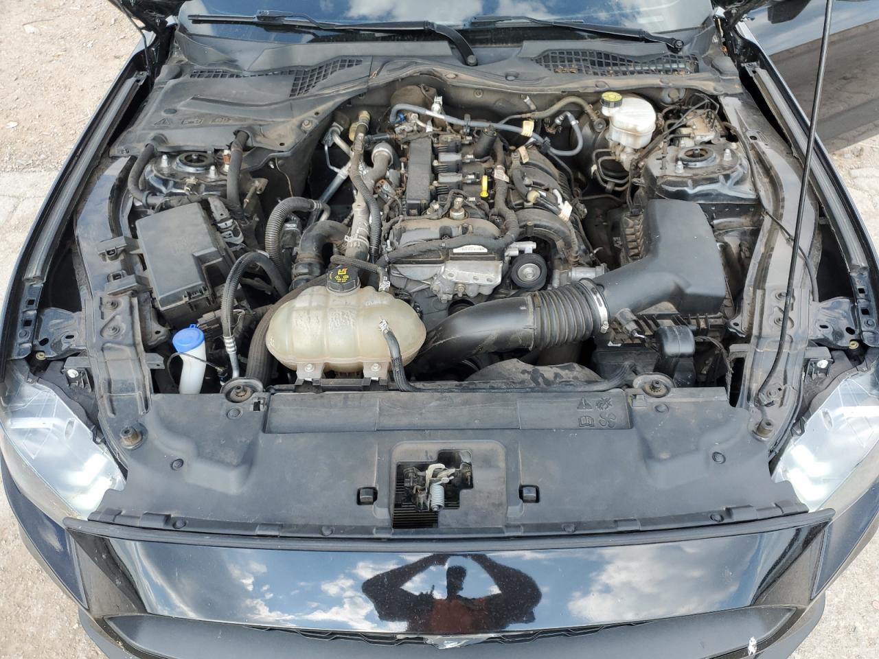 2022 Ford Mustang VIN: 1FA6P8TH2N5100235 Lot: 80023215