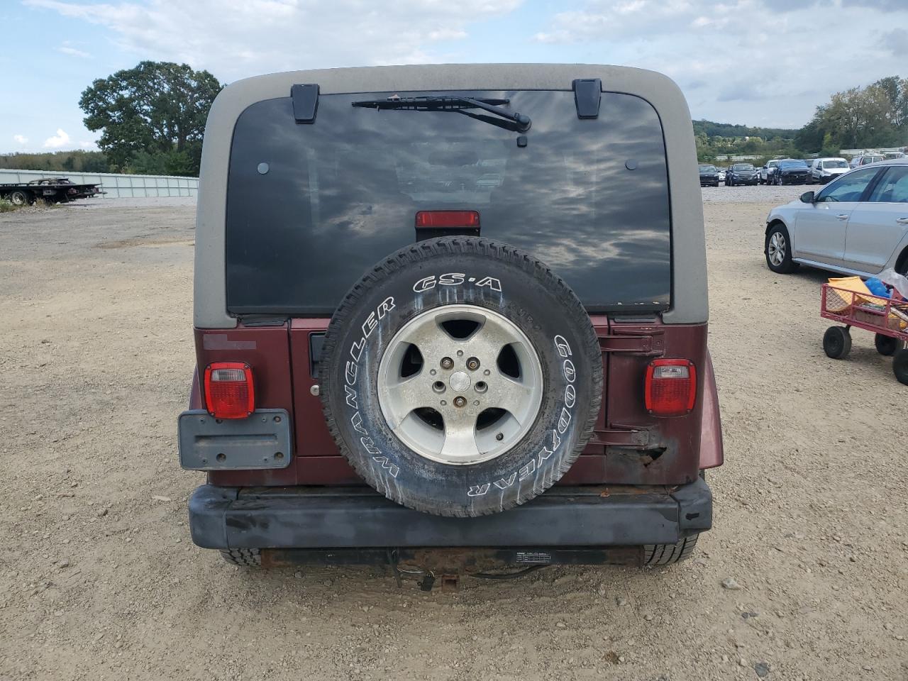 2003 Jeep Wrangler / Tj Sahara VIN: 1J4FA59S63P302987 Lot: 81738545