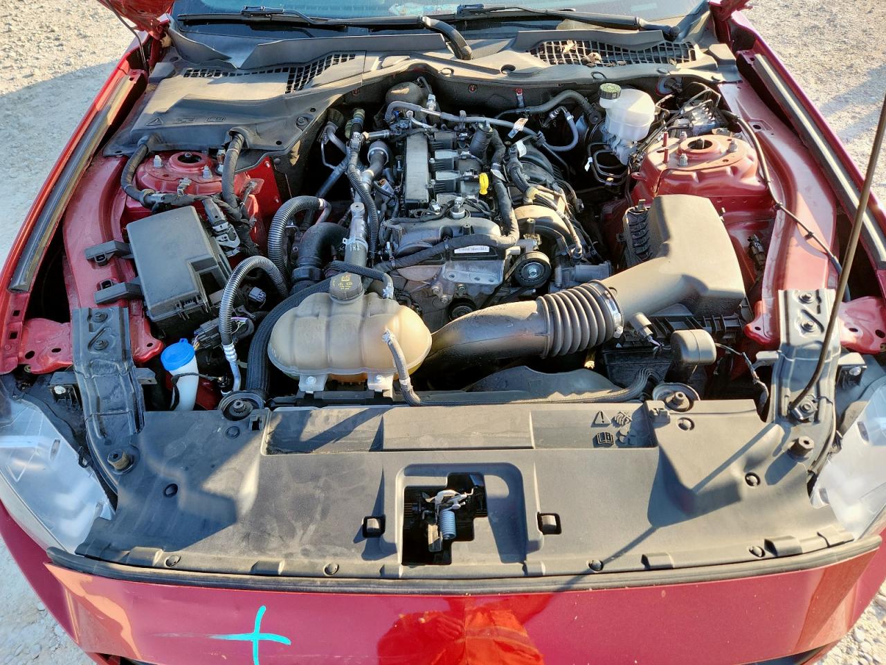 2022 Ford Mustang VIN: 1FA6P8TH2N5121991 Lot: 81257265